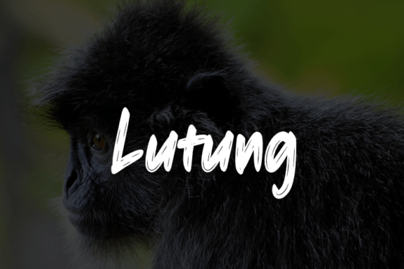 Lutung Typeface Review: A Versatile Script for Modern Branding